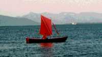 Linnet sailing in Iceland